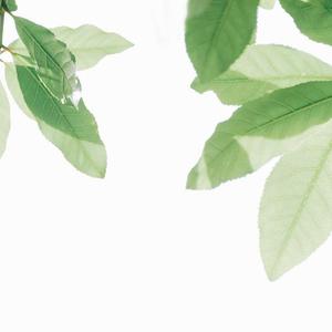 日韩人妻无码精品久久免费一
